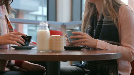 Pretty-friends-enjoying-coffee-in-cafe