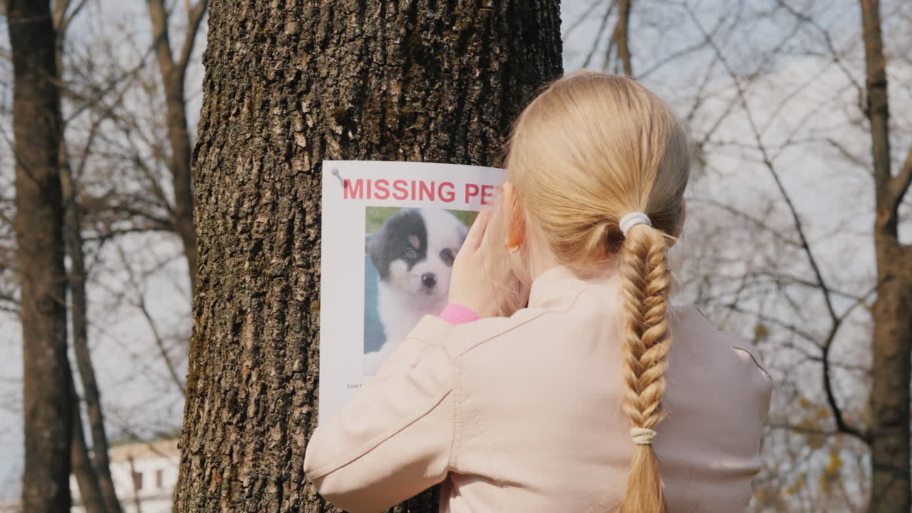 девочка ищет потерявшуюся собаку - на дереве висит плакат о пропавшем животном