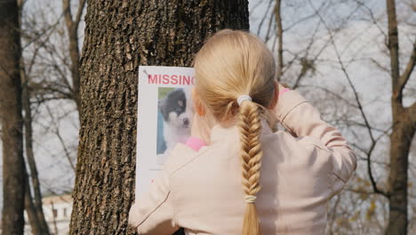 Ein-Mädchen-Sucht-Einen-Verlorenen-Hund---Ein-Poster-über-Ein-Vermisstes-Haustier-Hängt-Am-Baum