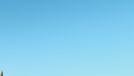 Flock-Of-Birds-Flying-Across-Empty-Clear-Blue-Sky