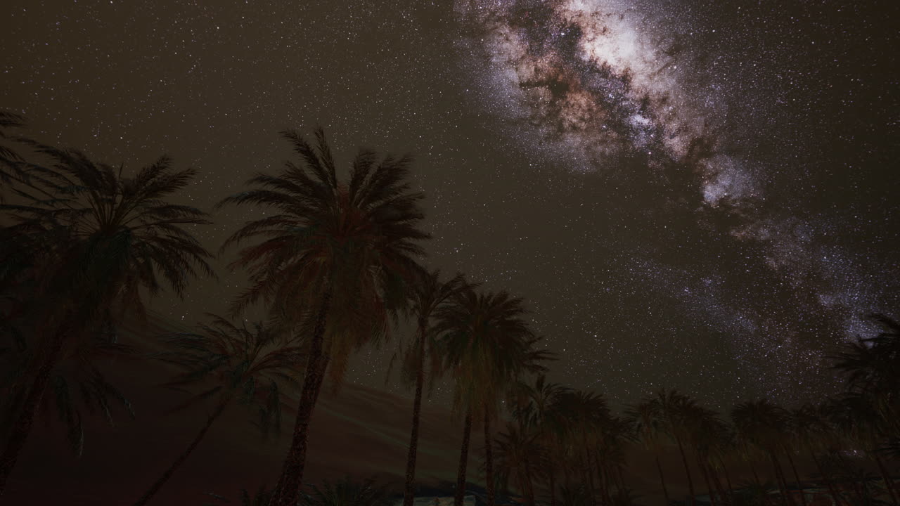 La Via Lattea sorge sopra le palme