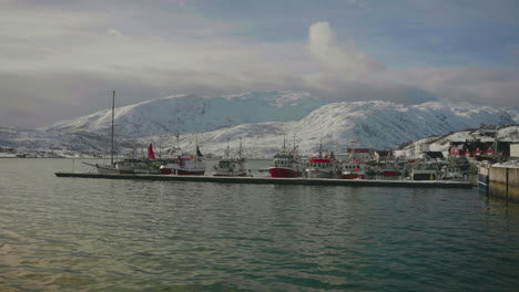 Cod-Fishing-Boats-Docked-At-The-Harbour-In-Tromso,-Norway-With-Snowy-Landscape-In-Background