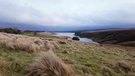 Yorkshire-Moorlandschaft-In-Der-Englischen-Landschaft