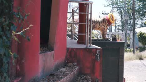 tiger statue at a thai temple