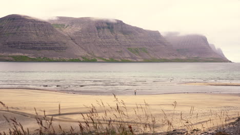 Chica-Solitaria-De-Pie-En-La-Playa-De-Arena-Blanca,-Islandia,-Tiro-Estable