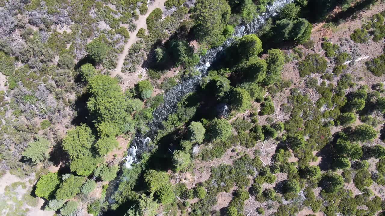 una vista aérea de un avión no tripulado de un pintoresco canal fluvial que serpentea a través de un exuberante bosque de pinos, mientras el avión no tripulado sigue con gracia el flujo tranquilo, en el bosque nacional de lassen, california