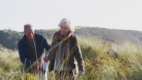 Liebevolles,-Aktives-Seniorenpaar,-Das-Gemeinsam-Hand-In-Hand-Durch-Die-Landschaft-Geht