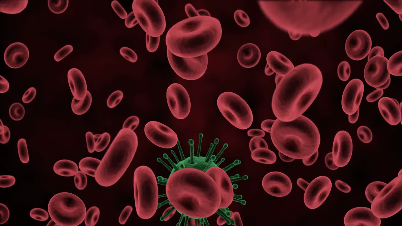 검은 바탕에 디지털로 생성된 바이러스 세포와 적혈구