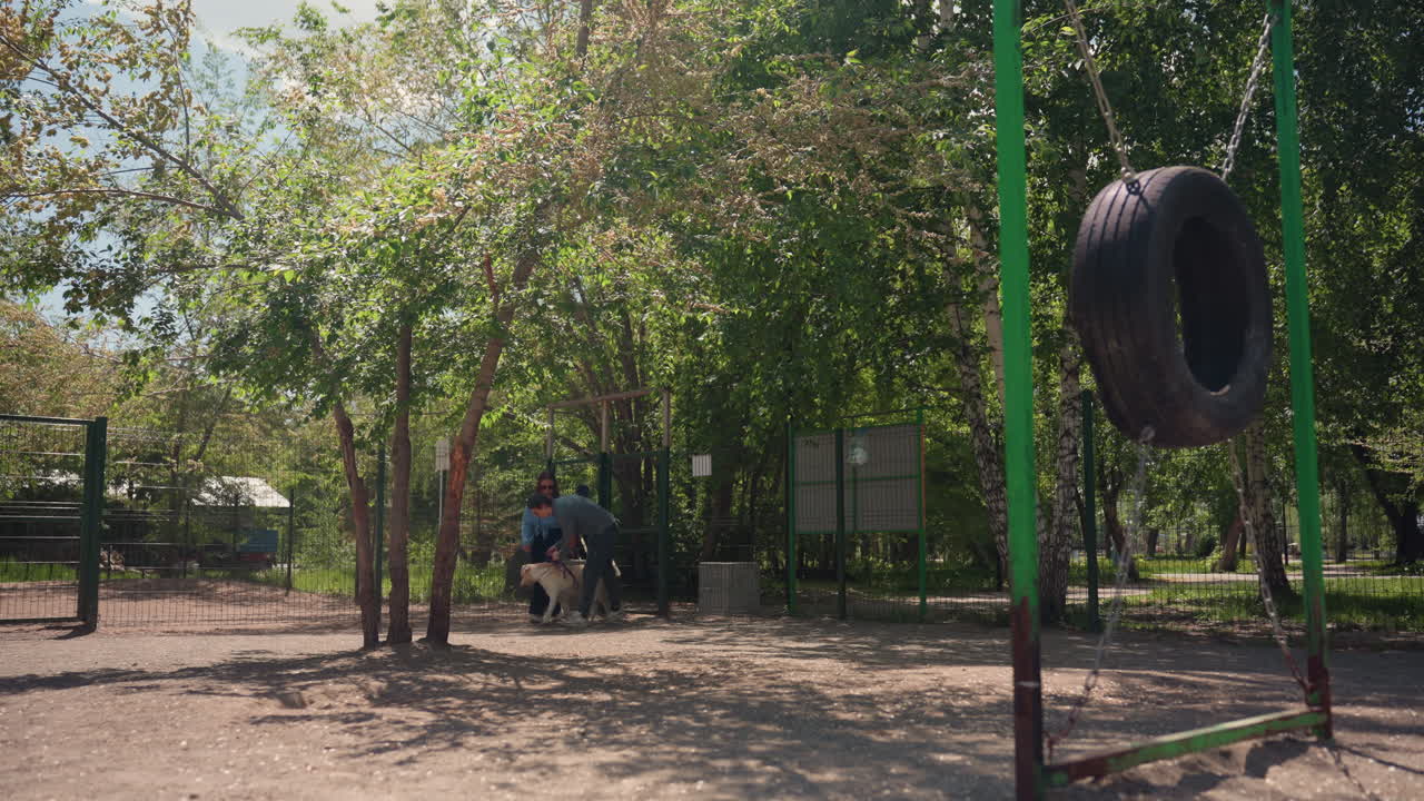 zona de adiestramiento canino con sombra de árboles y equipamiento rústico, espacio de entrenamiento al aire libre vacío con columpio de neumático y sombra natural, zona de agility canino al aire libre bajo los árboles con equipamiento vintage y suaves sombras