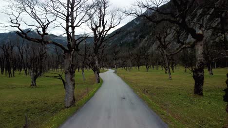 Ahornboden-Austria-low-aerial-drone-flight-above-the-road-in-the-scenic-and-idyllic-alps-mountains-in-Tyrol,-Bavaria,-close-to-Germany-with-old-maple-trees-and-glacier-snow-mountain-peaks