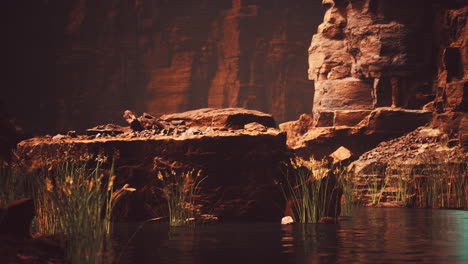 El-Río-Colorado-Atraviesa-La-Roca-En-El-Gran-Cañón