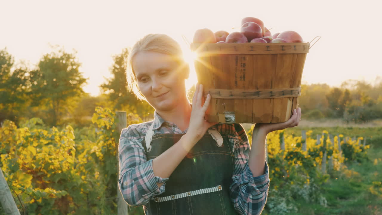 фермер держит корзину со спелыми красными яблоками небольшой сад и органические продукты концепция