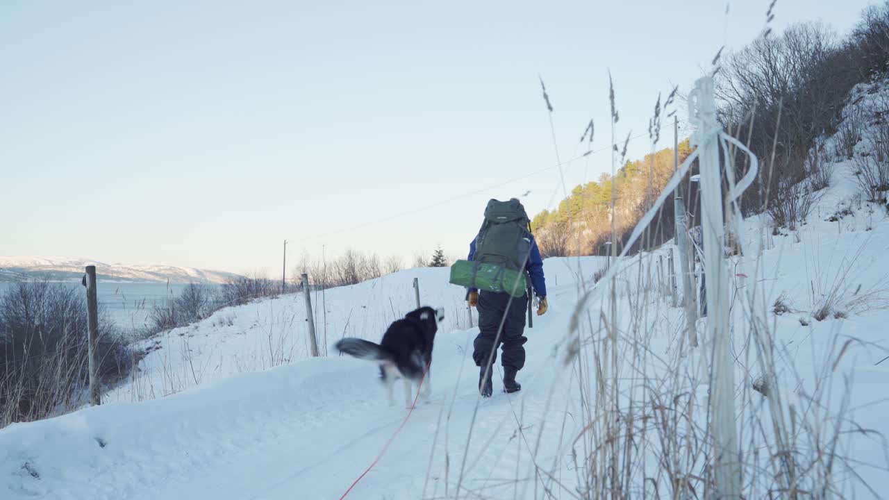 malamute de alaska y campista con mochila caminando en una colina nevada