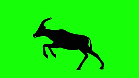 a silhouette of a gazelle run jump on green screen, side view