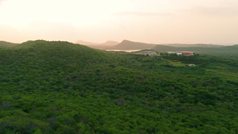 El-Dron-Vuela-Rápidamente-Sobre-árboles-Secos-Irregulares-Hasta-Las-Exuberantes-Colinas-De-Las-Montañas-De-Curazao.