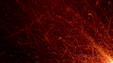 4k creciente red de líneas y puntos stock video - bucle