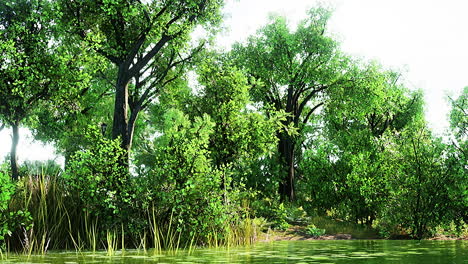 scenic lake in the summer park