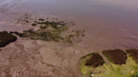 Two-friends-walking-on-beach-of-Vicente-Lopez-in-Buenos-Aires