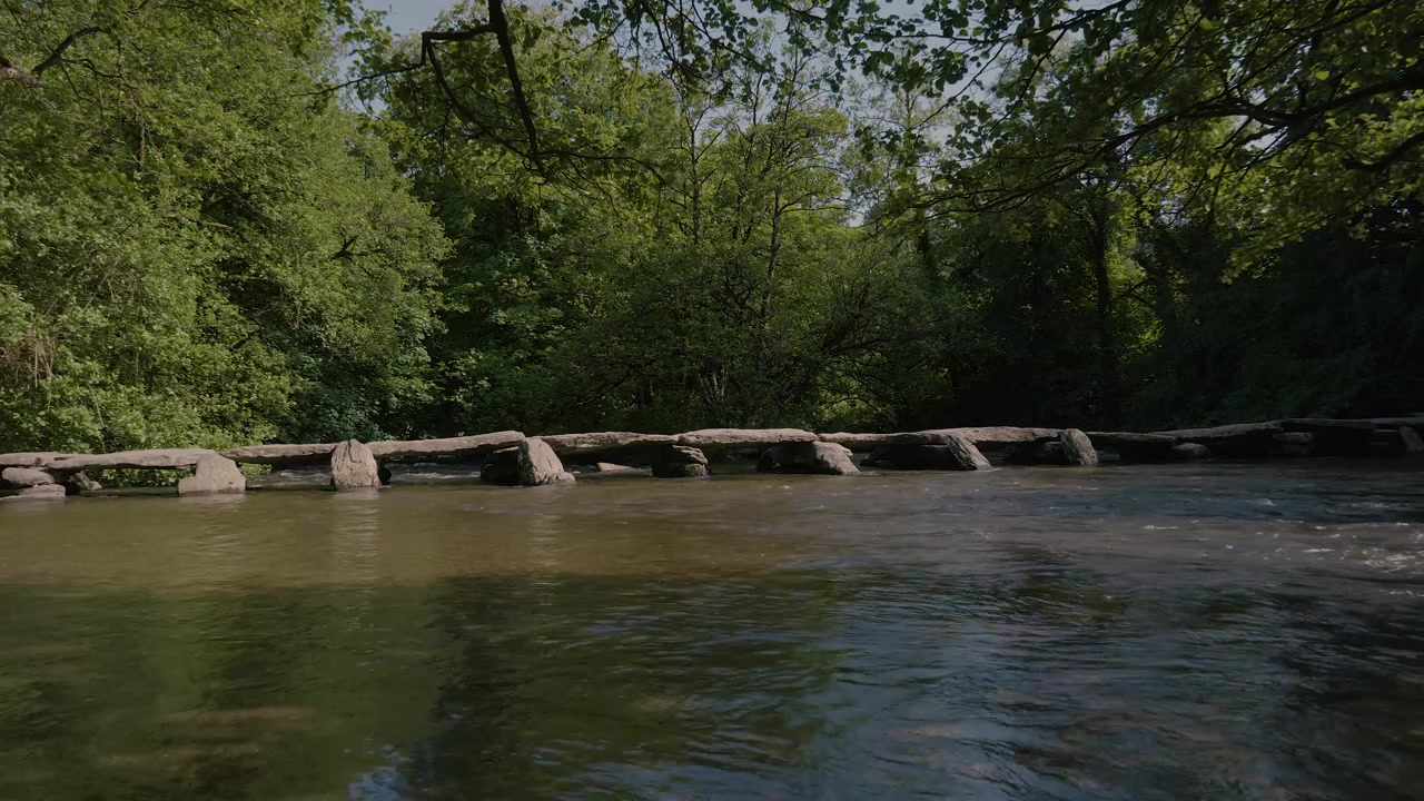 Tarr Steps, die die Anordnung großer, verwitterter Steine hervorheben, die die Brücke bilden. Der Fluss Barle fließt leise darunter, umgebende Bäume und Laub verleihen dieser ruhigen Szene Tiefe und Textur.