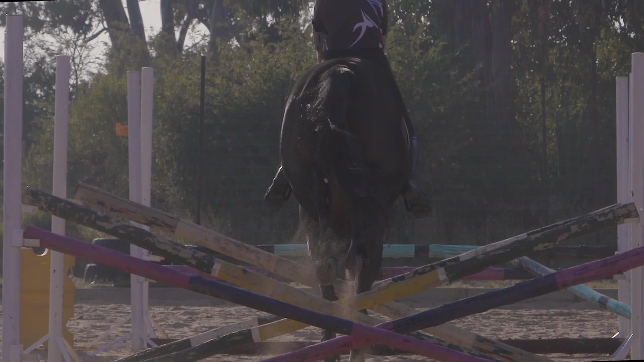 Tomada em câmera lenta: Vista traseira de mulher montando a cavalo e saltando sobre barreira em rancho