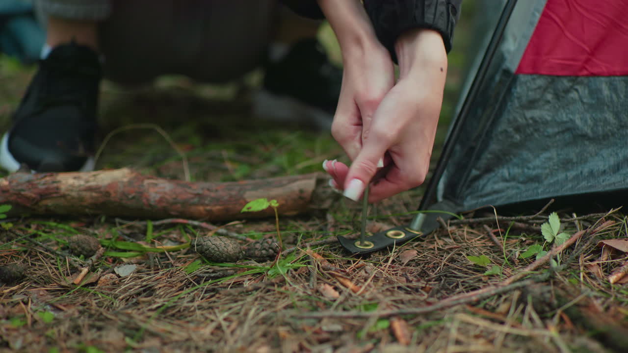 close up of lady hand pulling metal tent peg from forest ground with pine needles scattered around as stick lies nearby and tent corner remains fixed under pole with red and black fabric