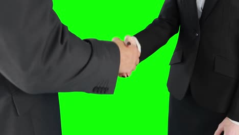 Business-people-handshaking