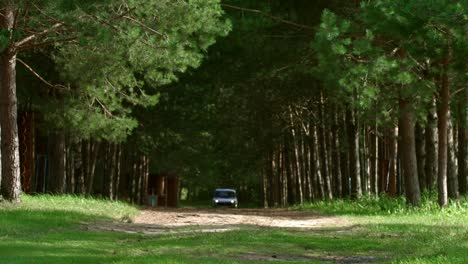 Camino-De-Madera-Con-Pinos-A-Los-Lados.-Guardabosques-Conduciendo-Por-Su-Terreno-Forestal