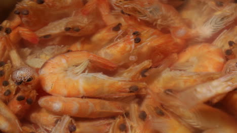 time lapse shrimp are simmered in a saucepan