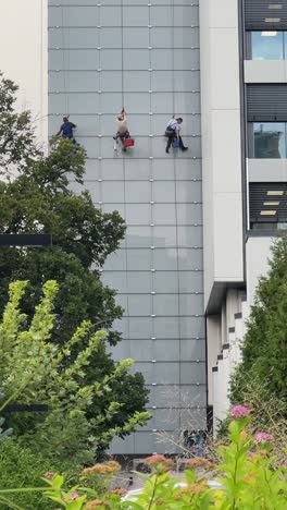 building window cleaners