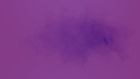 Animación-De-Una-Sombra-Violeta-Sobre-Un-Fondo-Violeta