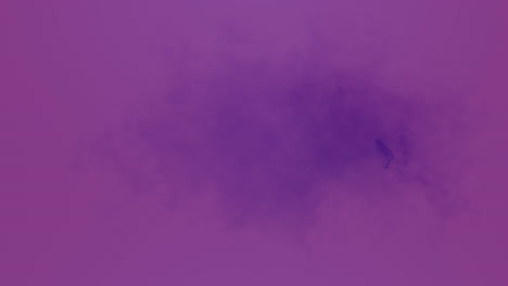 animación de una sombra púrpura sobre un fondo púrpura