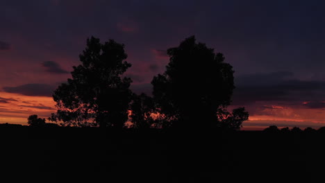 Aerial-Drone-view-of-Trees-Silhouettes