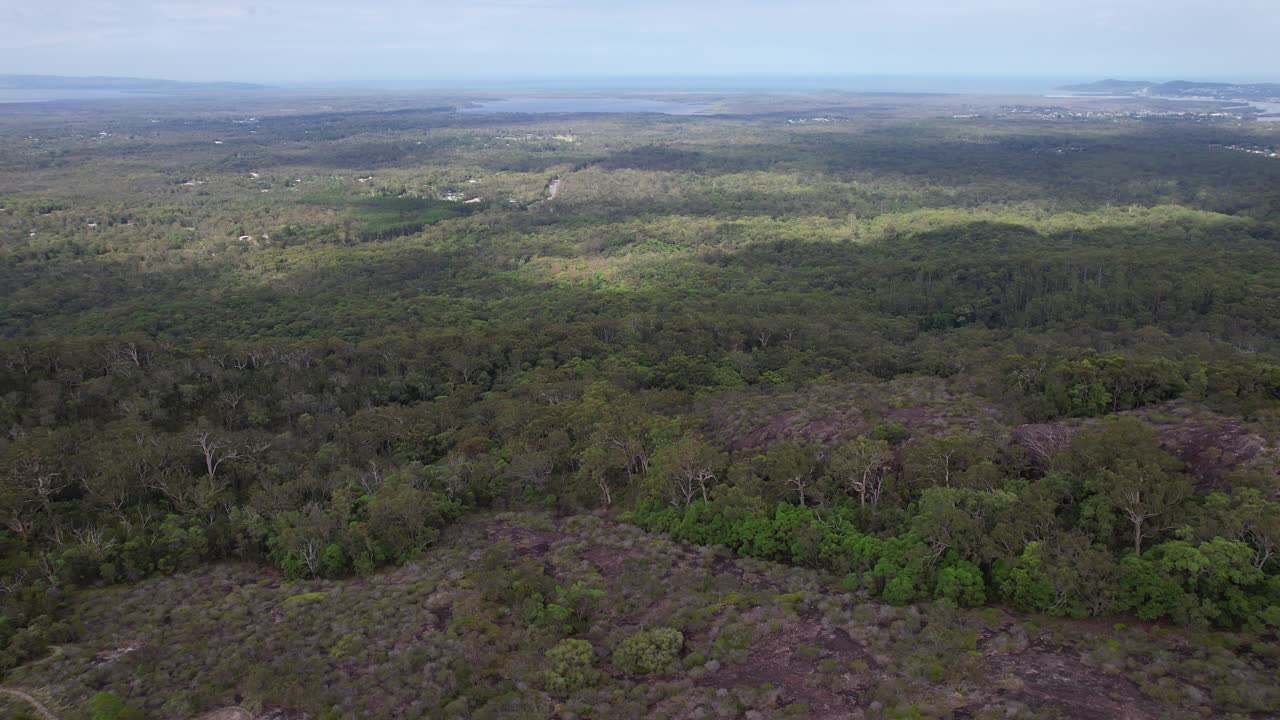 Tewantin National Park In Tinbeerwah, Australia At Daytime - Aerial Shot