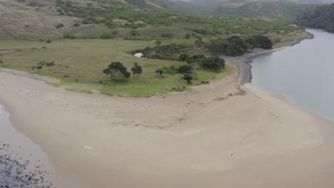 Banco-De-Arena-Rompiendo-El-Océano-Y-Las-Olas-Con-Colinas-Verdes-En-El-Fondo,-Transkei-Sudáfrica