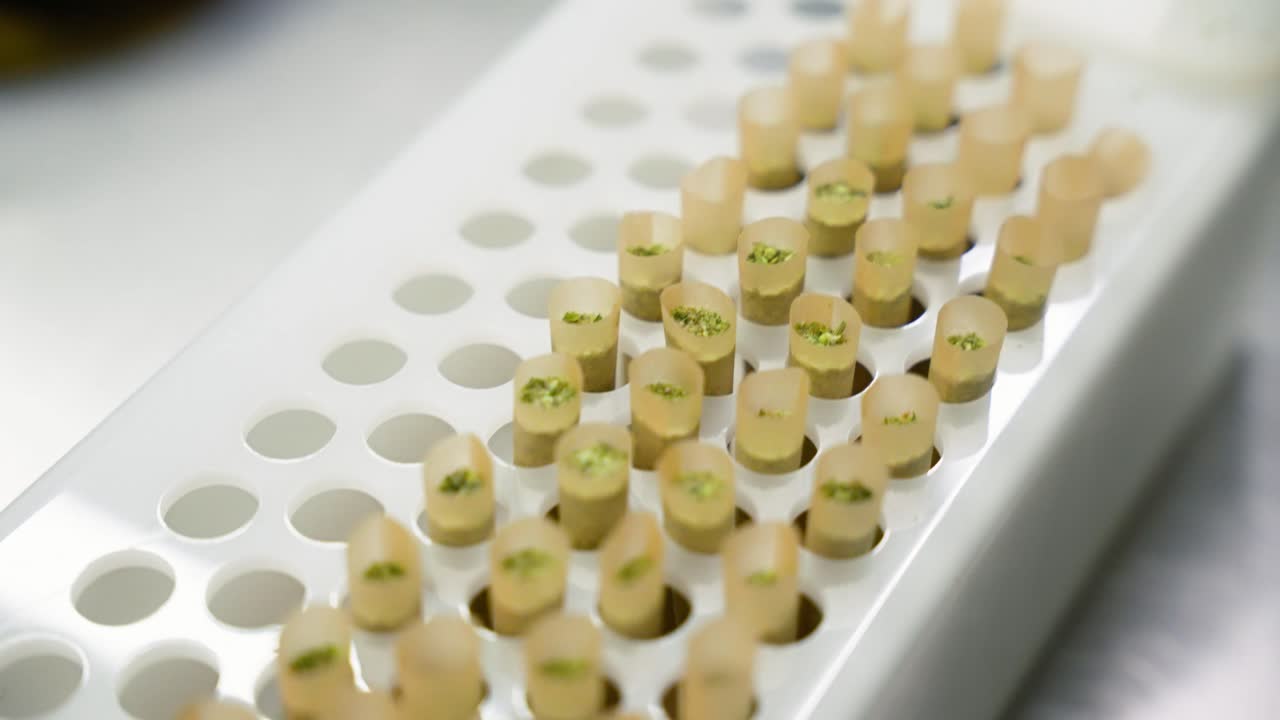 Close up view of neatly arranged pre-rolled joints in a cannabis production facility