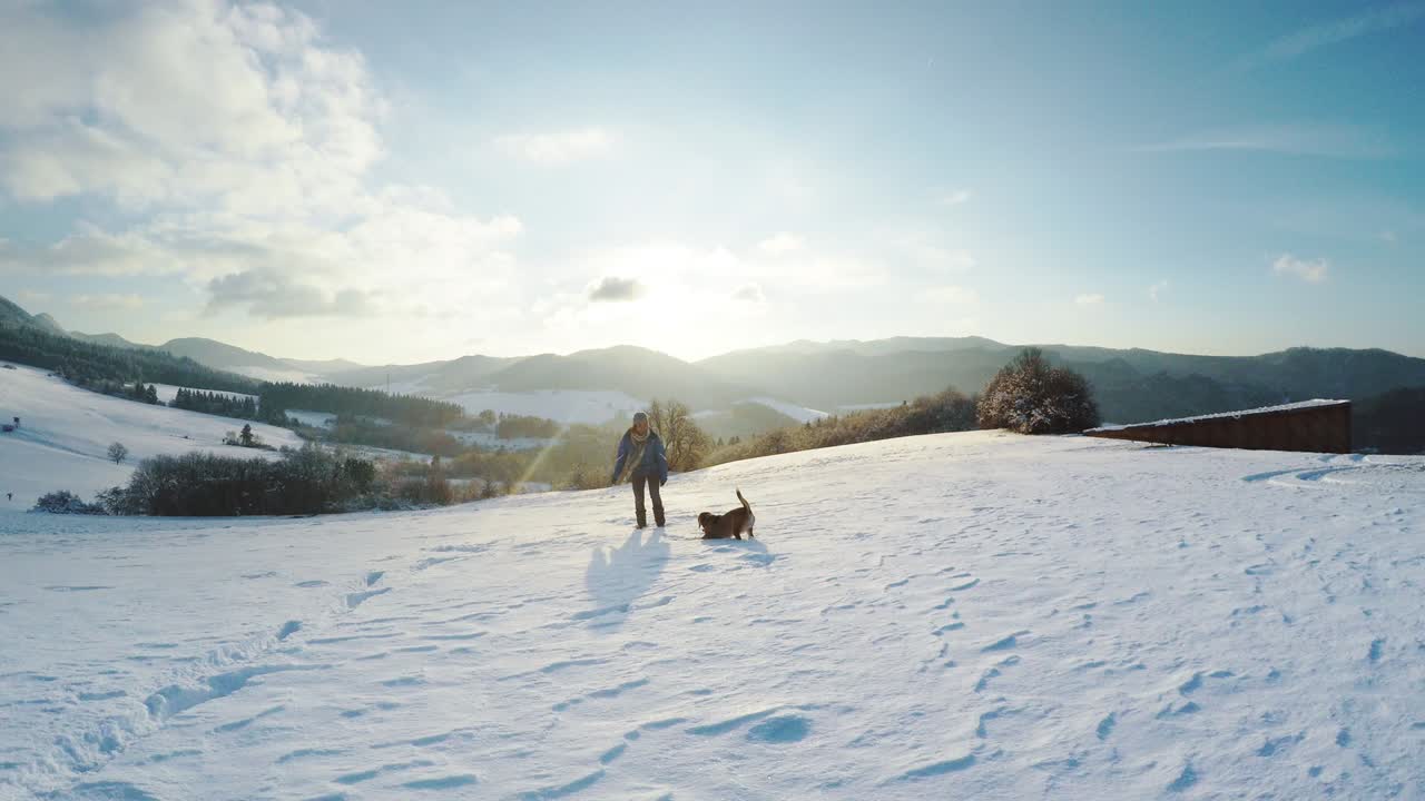 4K Footage: Active beagle dog runs with his female owner by the snowy mountain field