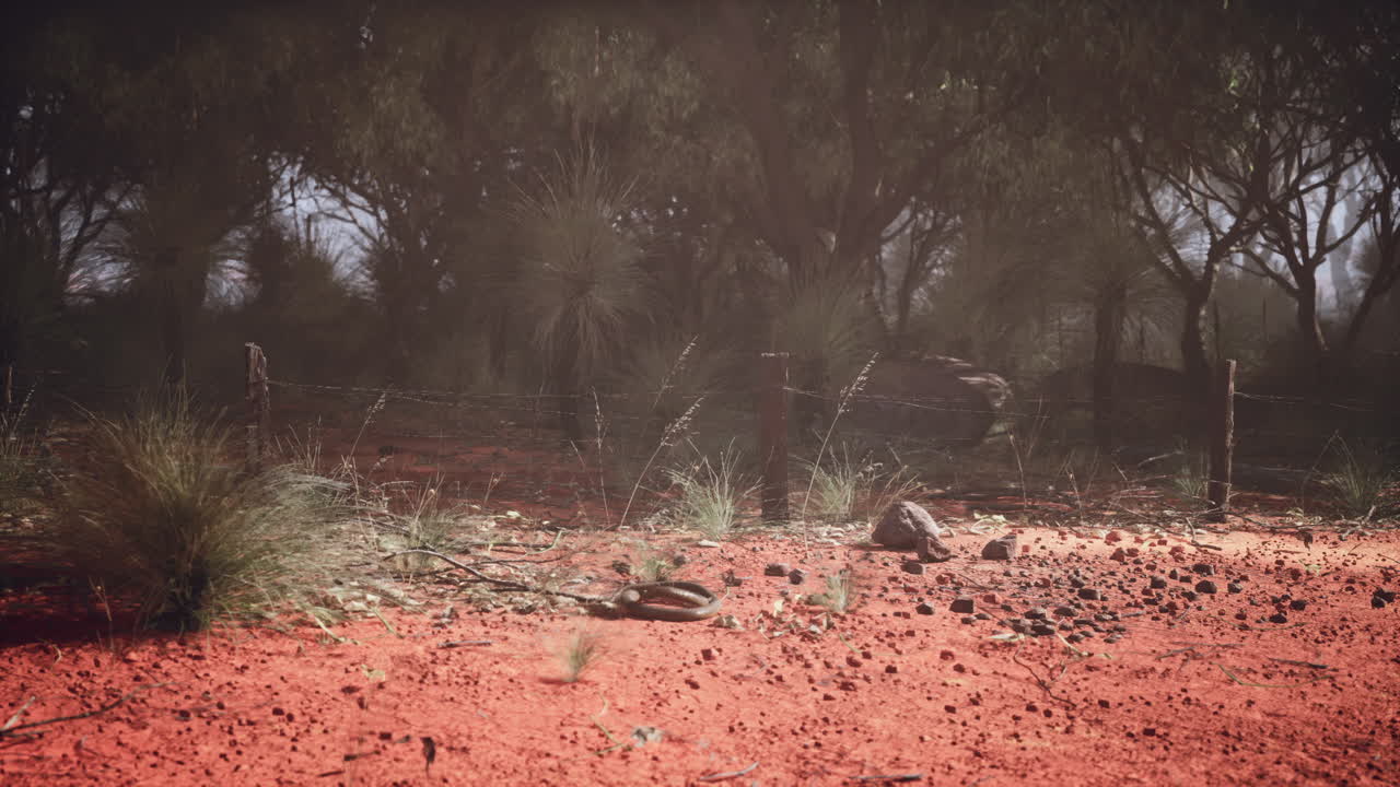 Oasi eterea, splendore incontaminato catturato nel vasto bush australiano.