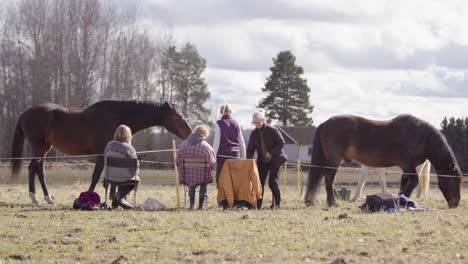 equine therapy workshop participants get instructions from feel facilitator