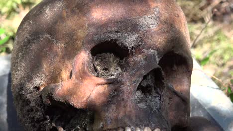 exhumación es el acto de desenterrar, especialmente un cadáver