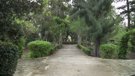 trees bushes and plants growing and waving in the wind at san anton gardens in attard