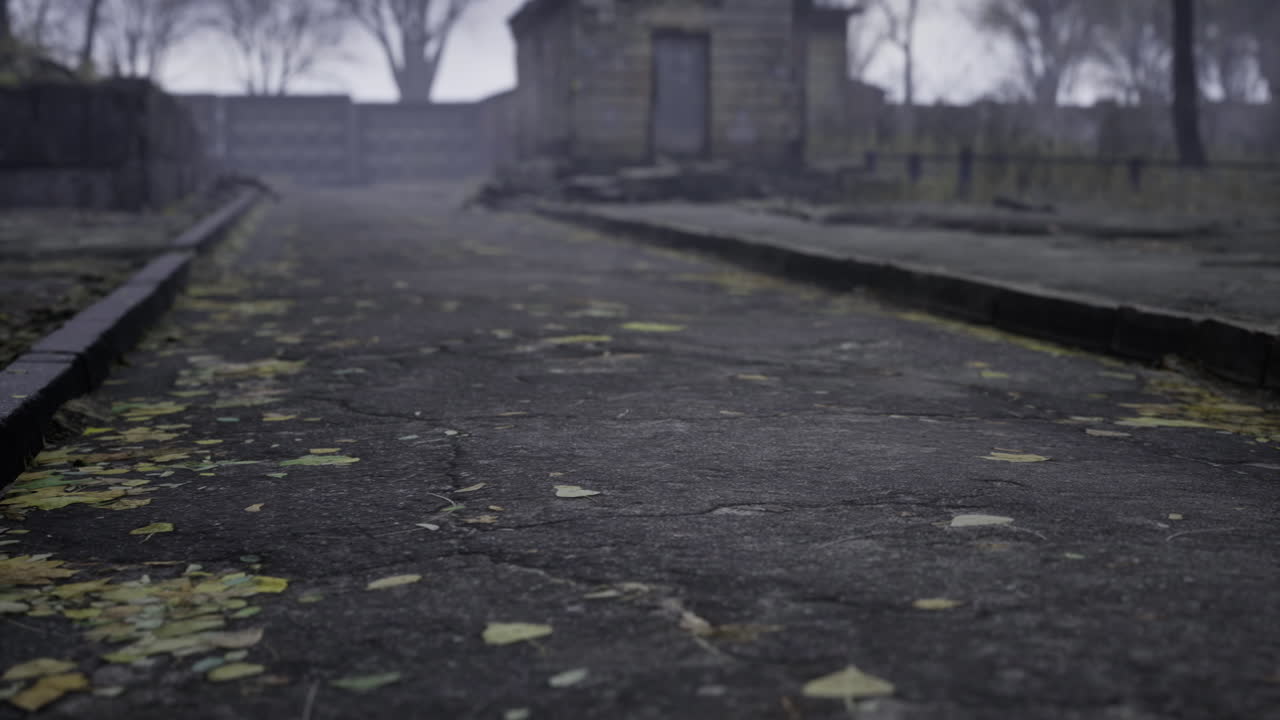 Sentiero tranquillo costeggiato da foglie in un sito storico abbandonato nella nebbia autunnale