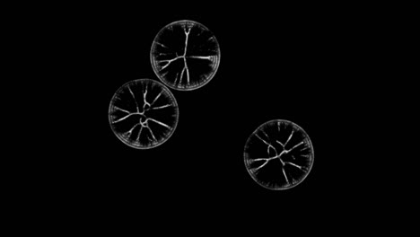 three simulated organisms on a black background expanding and growing together