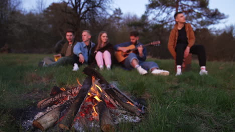 friends enjoying a campfire and music in the woods