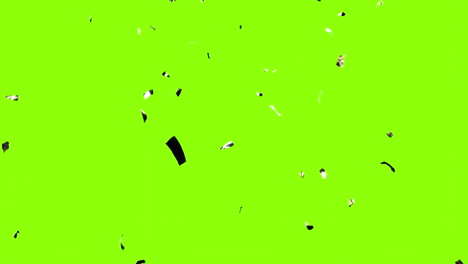 falling confetti animation over green background