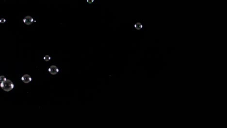 soup bubbles isolated on black background