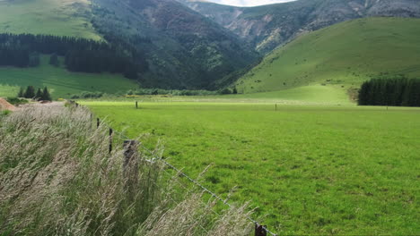 slow pan of idyllic green farm valley long grass blowing in the wind alongside post fence