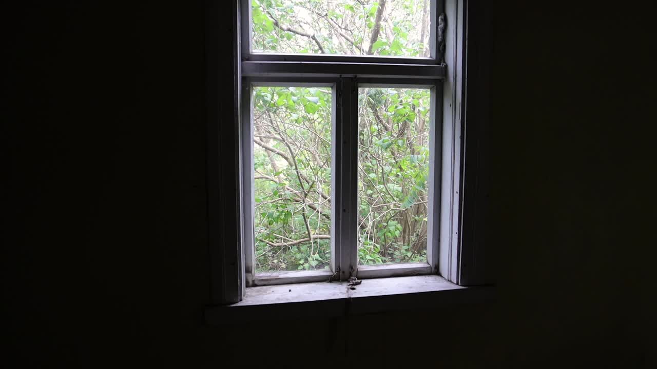 una mirada por la ventana