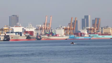 time-lapse of a boat crossing a bustling port