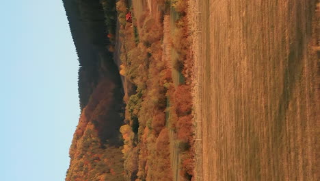 golden fields, trees in vibrant autumn color in scenic valley, vertical aerial view