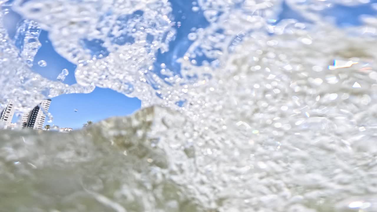 Boxer dog swimming in the sea near the shore